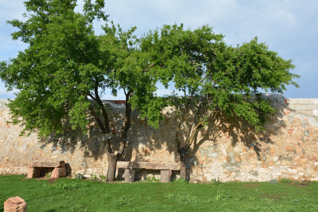 Casa Rural Aromas De La Manchuela Альбореа Экстерьер фото